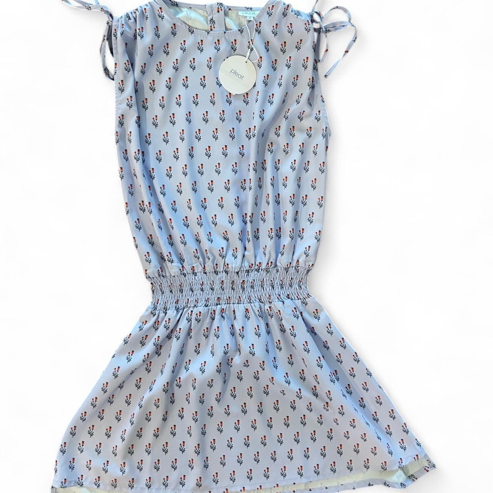 Pleat Charming Light Blue Kids Floral Dress NWT